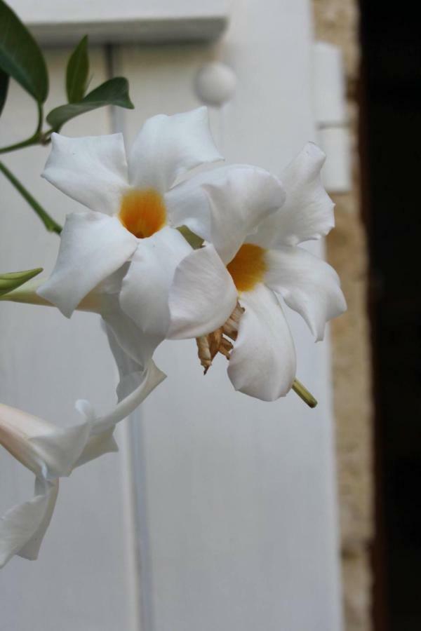 Au Garcin Bed & Breakfast La Romieu Luaran gambar